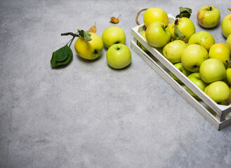 Raw Fruits. Fresh Apple Fruit. Garden Green Apples in White Wooden Box on Rustic Gray Table. Copy Space