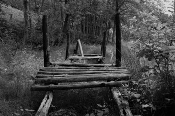 old bumpy log bridge over the stream in the woods of the Tuscan Apennines black and white photo...