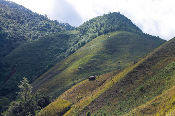 Fototapeta premium Top view mountain and green landscape from ban huai thone nan thailand. 