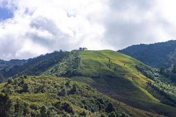 Obraz na płótnie Canvas Top view mountain and green landscape from ban huai thone nan thailand. 