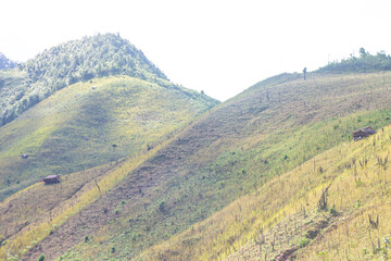 Top view mountain and green landscape from ban huai thone nan thailand.
