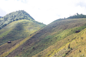 Top view mountain and green landscape from ban huai thone nan thailand.
