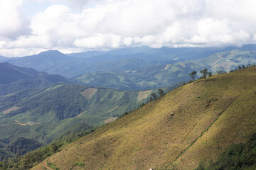 Top view mountain and green landscape from ban huai thone nan thailand.
