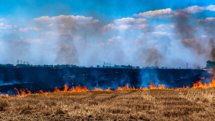 A fire on the stubble of a wheat field after harvesting. Enriching the soil with natural ash...