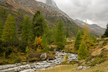 Herbstlandschaft