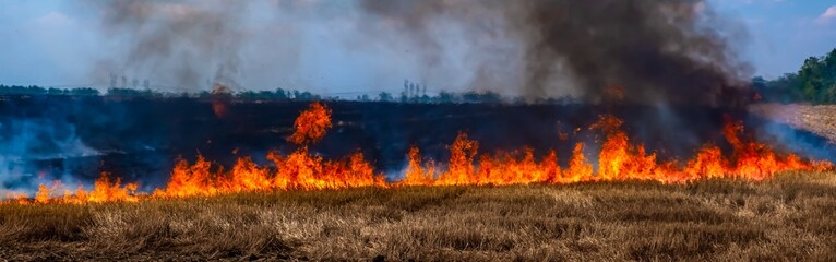 A fire on the stubble of a wheat field after harvesting. Enriching the soil with natural ash...