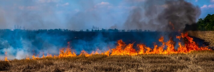 A fire on the stubble of a wheat field after harvesting. Enriching the soil with natural ash...