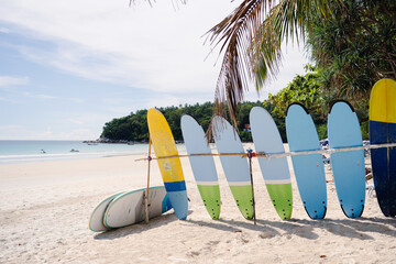 Surfboard and palm tree on beach