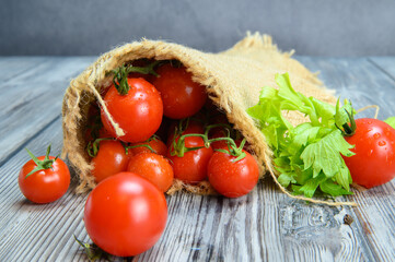 Tomatoes wrapped in coarse linen. There are parsley leaves next to it