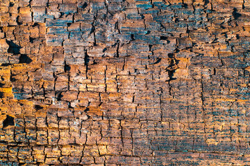 Colorful grungy texture of wood, macro. Abstract wallpaper.