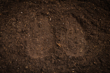 Woman hand trace on a ground.