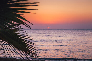Beautiful sunrise at sea. Dawn on the Red Sea. The sun is reflected in the sea. Palm trees against the background of the rising sun. Tropical sunrise