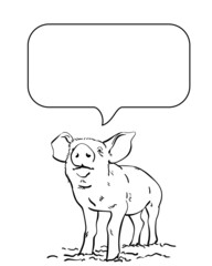 Sketch of pig and speech bubble, Hand drawn vector linear illustration