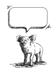 Sketch of pig and speech bubble, Hand drawn vector illustration