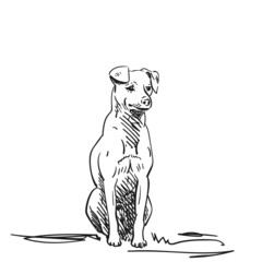 Dog sitting looking calm vector drawing, Hand drawn illustration, Isolated pet animal black pen sketch on white