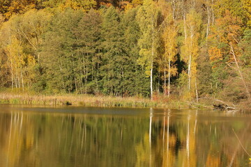 Ein See im Herbst