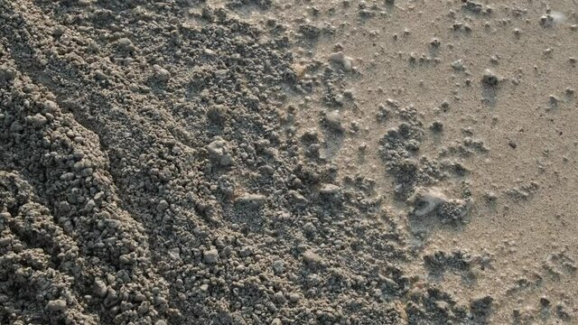 沖縄の海(備瀬ビーチ)に漂着する軽石