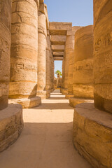 Fototapeta premium Anscient Temple of Karnak in Luxor - Ruined Thebes Egypt. Huge columns with hieroglyphs in the ancient Karnak temple. Temple of Amon-Ra