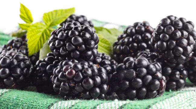 image of ripe blackberry close-up