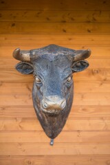 The head of an iron bull hangs on a wooden wall