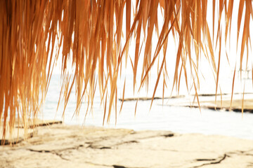 thatched roof, beach hut, background
