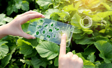 A woman managing a smart farm using an AR device