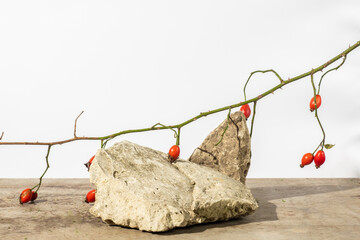 Natural style. Stone podium with rosehip berries on a white background. Still life for the...