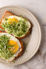 Fried egg sandwich with microgreens.