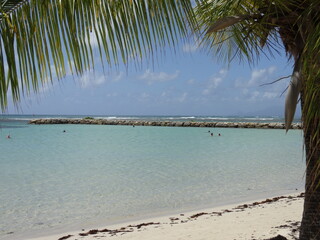 Fototapeta na wymiar Derrière le palmier, la plage de sable blanc et la paradisiaque mer turquoise