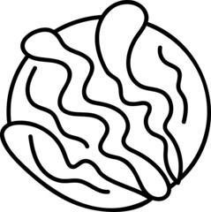 cabbage icon