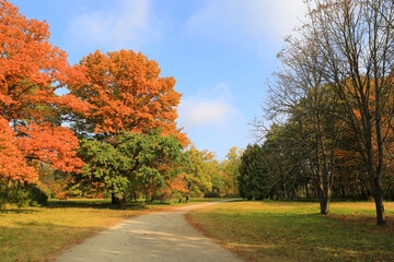 Autumn pathway in park