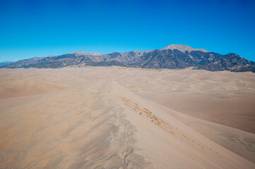 Fototapeta na wymiar Ridge of Highest Dune in the Great Sand Dunes National Park