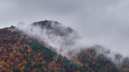Sommet d'une montagne boisée dans la brume d'un jour gris et pluvieux d'hiver.Forêt d'automne...