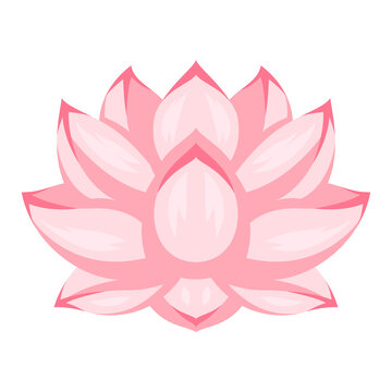 Illustration of lotus flower. Water lily image.