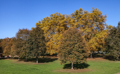 Allassac (Corrèze, France) - Garavet - Vue automnale