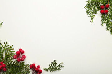 White background with thuja branches and viburnum isolated on white. Place for text. Flat lay, top view.