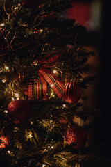 Merry Christmas, Happy Holidays cottage core preparations - mandarin oranges, cinnamon, pine cones, christmas tree lights