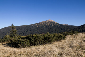 autumn in the Carpathian mountains