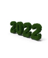 Boxwood Symbol 2022 3d Illustraetion