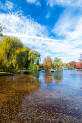 Boston Common in fall, pond, bridge, blue sky with white clouds