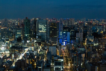 Fototapeta na wymiar Tokyo city at night