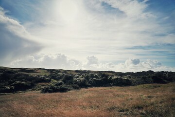 clouds with silver Oldman beard seed glistening in the sun with golden grass blowing in the wind