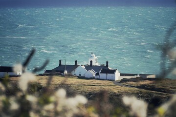old mans beard seed head on the cliff top above lighthouse Jurassic coast