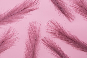 Obraz premium Feathers of pink color on a pink background.