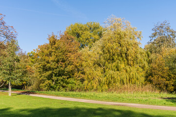 Naklejka premium Parkanlage Moorteichwiese in Kiel mit Vegetation in bunten Herbstfarben