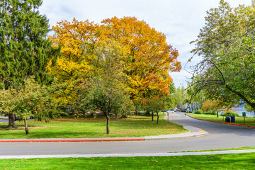 Colorful Autumn Seward Park 3