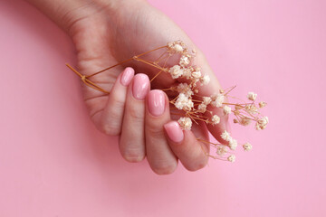 Female hands with pink nail design. Female hand hold gypsophila flower. Pink nail polish manicure on pink background