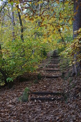 Herbstweg