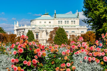 Dahlia flowers in Volksgarten park, Vienna, Austria