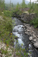 Putorana Plateau, a mountain stream.